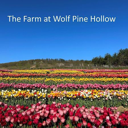 Luxury Farm Stay At The Lodge At Wolf Pine Hollow Hancock 外观 照片