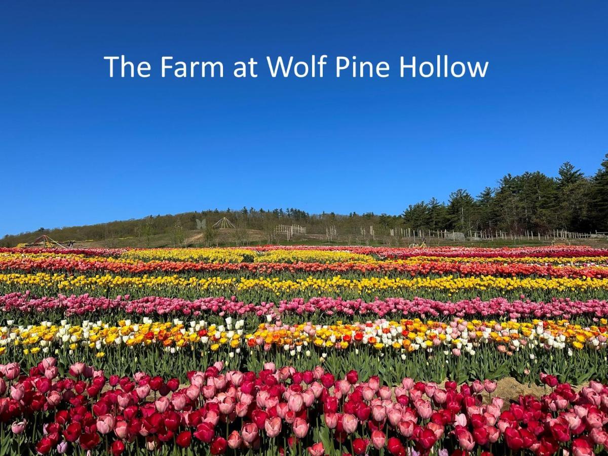 Luxury Farm Stay At The Lodge At Wolf Pine Hollow Hancock 外观 照片